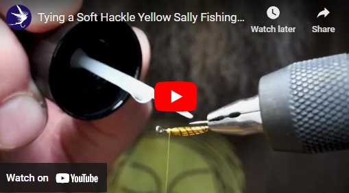 Tying a Yellow Sally Soft Hackle Fishing Fly